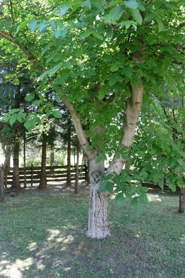 Holiday Home "Iris" Near Plitvice Lakes Rudanovac Esterno foto