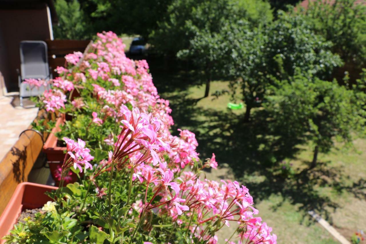 Holiday Home "Iris" Near Plitvice Lakes Rudanovac Esterno foto